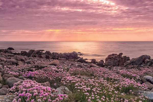 Rocky beach landscape at dusk.